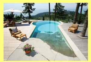 Pool Design Trends