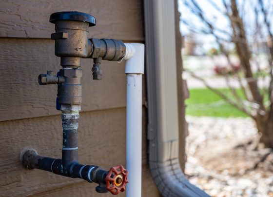 backflow testing requirements essex county